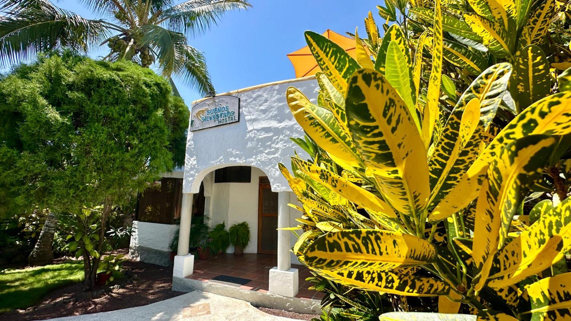 Hostal Suenos Silvestres Puerto Ayora  Εξωτερικό φωτογραφία
