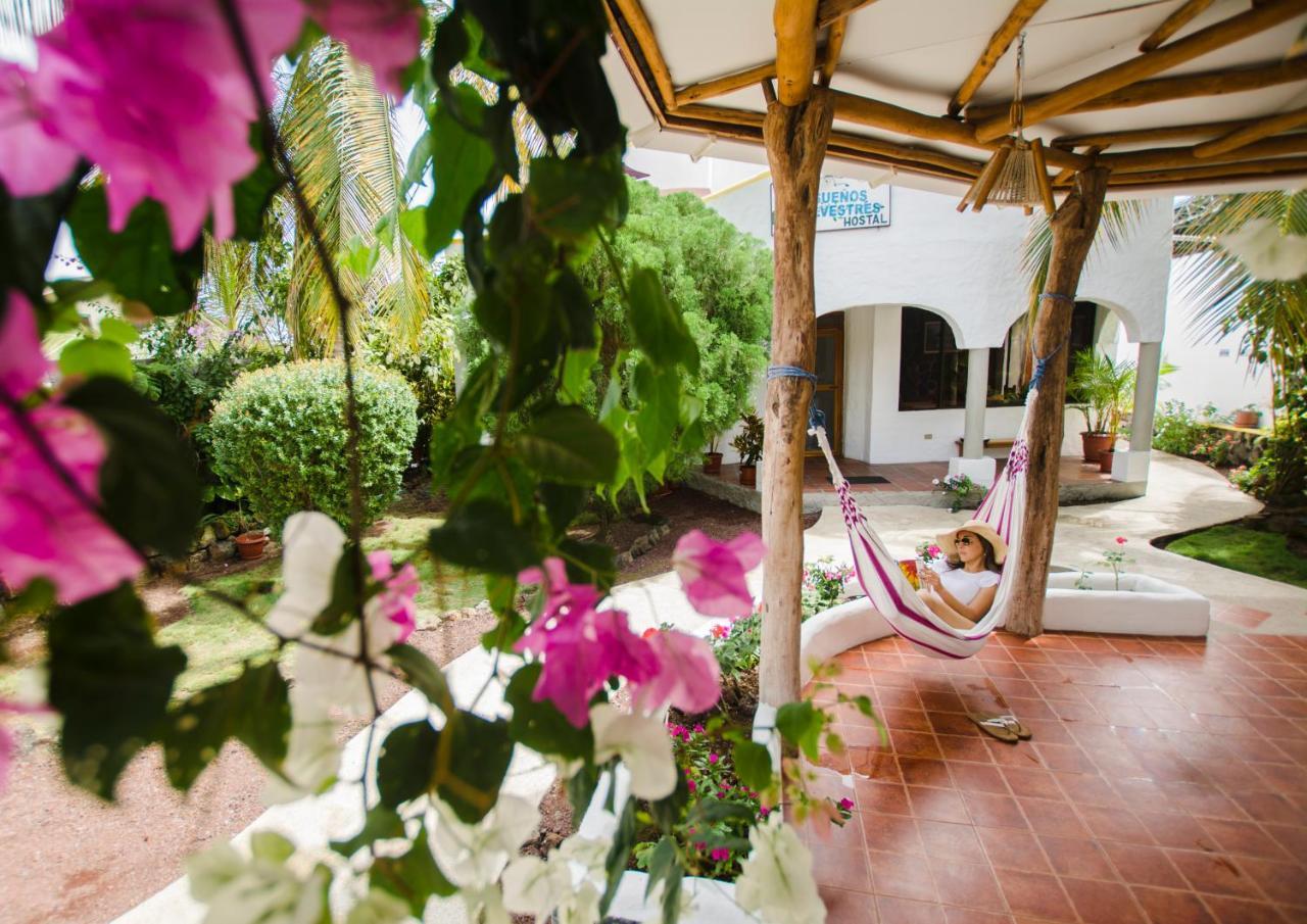Hostal Suenos Silvestres Puerto Ayora  Εξωτερικό φωτογραφία